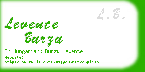 levente burzu business card